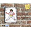 IK+ inspired Artwork Classic Amiga & C64 Karate Game inspired Wall Plaque - Metal Sign