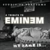 A Tribute to Eminem - Studio 99