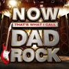 NOW That's What I Call Dad Rock