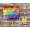 Rustic Multi-Coloured AMIGA TEXT Gay Pride Coloured Stripes Metal Sign [394]