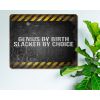 Genius By Birth, Slacker By Choice - Derogotory Rustic Metal Sign [1128]