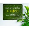 When Life Gives You Lemons. Ask Why..Coz I Didn't Get Any - Decorative Rustic Metal Sign [1431]